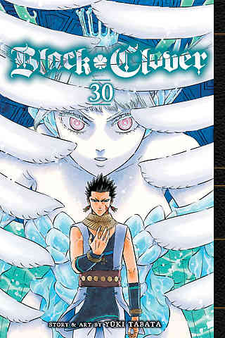 Black Clover Bk 30