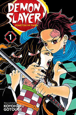 Demon Slayer: Kimetsu No Yaiba Bk 01