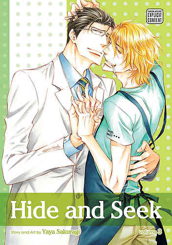 Hide and Seek Bk 03