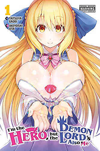 I'm the Hero but the Demon Lord's Also Me Bk 01