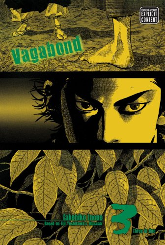Vagabond Vizbig Bk 03