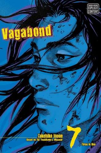 Vagabond Vizbig Bk 07
