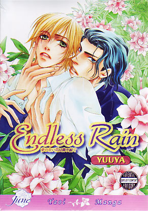 Endless Rain